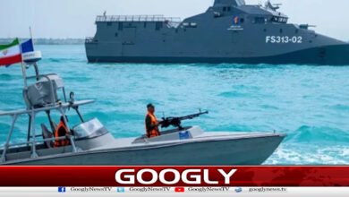 France announces sending security squad to Strait of Hormuz