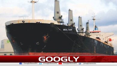 2پاکستانی جہازوں کوآبنائےہرمزسےگزرنےکی اجازت مل گئی 2 2 Pakistani ships allowed to pass through Strait of Hormuz