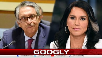 America is not within Pakistan's reach, says Jalil Abbas Jilani