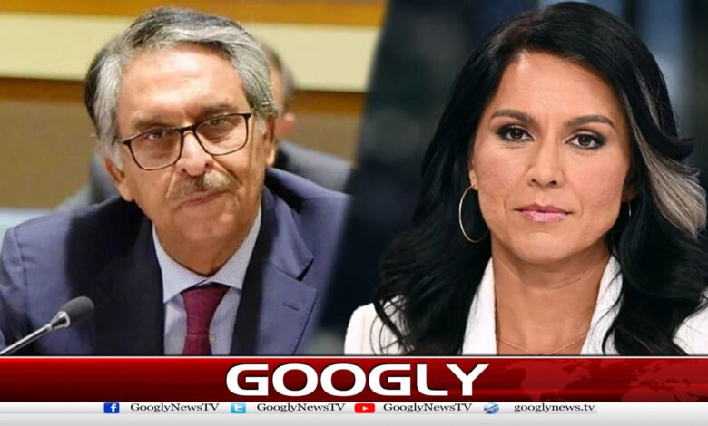 America is not within Pakistan's reach, says Jalil Abbas Jilani