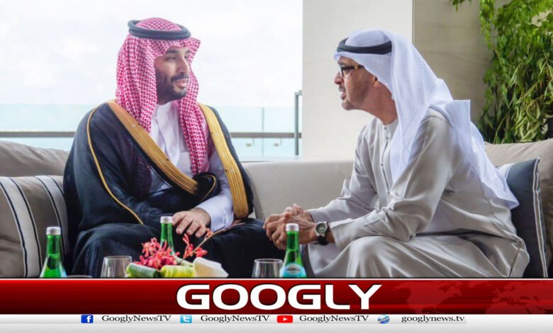Middle East Tensions: UAE President Holds Key Phone Call with Saudi Crown Prince