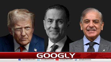 ایران نے امریکا کیساتھ ڈیل کی صورت میں پاکستان سے ضمانت مانگ لی،ایرانی دانشور کا دعویٰ 2 Iran Seeks Guarantee from Pakistan in Case of Deal with US, Claims Iranian Scholar