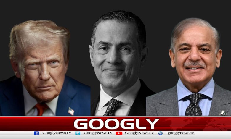 Iran Seeks Guarantee from Pakistan in Case of Deal with US, Claims Iranian Scholar