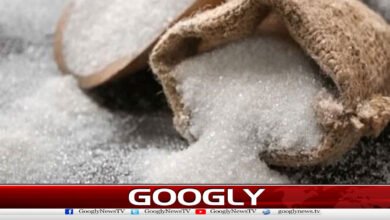 Government Extends Concessional Tax Period on Chinese Imports