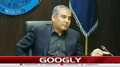 Mohsin Naqvi Orders Removal of Pakistan’s Illegal Residents from Citizenship Database