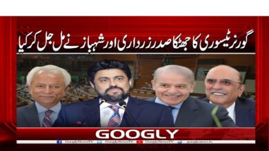 Governor Treasury Shock: President Zardari and Shehbaz Acted in Unison