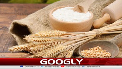 Pakistan Approves Export of Wheat Products to UAE