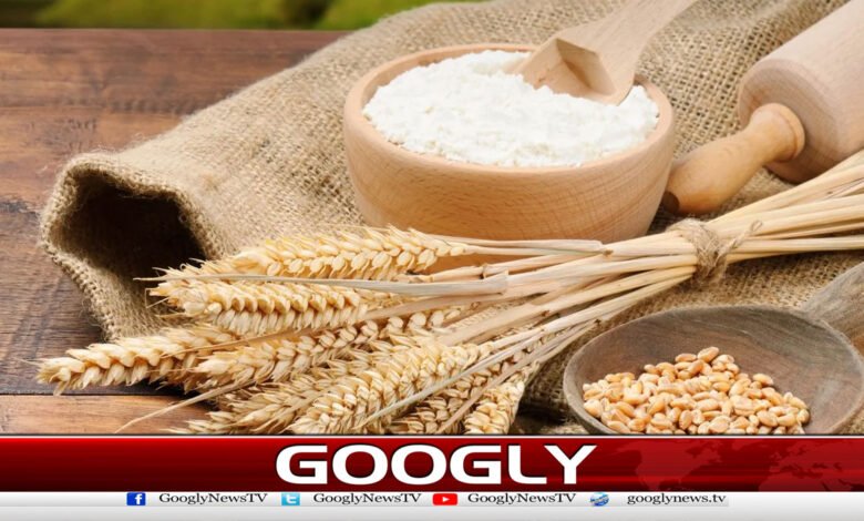 پاکستان کا یو اے ای کی درخواست پر گندم مصنوعات برآمد کرنے کا فیصلہ 1 Pakistan Approves Export of Wheat Products to UAE