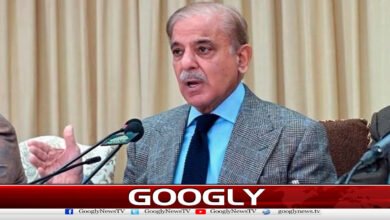 Oil Prices: PM Says Efforts Underway to Provide Relief to Middle Class