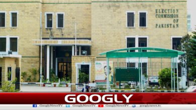 Delay in Islamabad Local Elections, Interior Minister Summoned in Personal Capacity