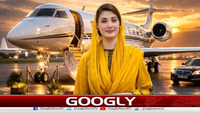 پنجاب حکومت کا سرکاری جہاز کیخلاف پراپیگنڈا کرنیوالوں کیخلاف کارروائی کا اعلان 2 Punjab Government Announces Action Against Propaganda on Official Aircraft