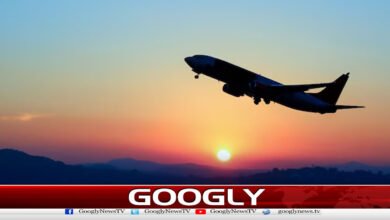 Global Aviation Industry Faces Severe Crisis