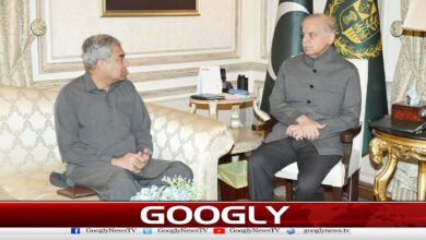 Mohsin Naqvi Meets PM Shehbaz to Discuss National and Regional Situation