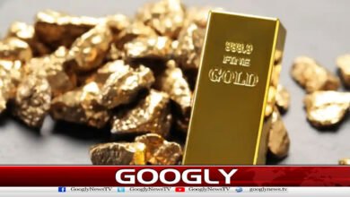 Gold Prices Rise Again After One-Day Dip