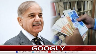 Details Emerge on PM’s Salary Reduction Campaign