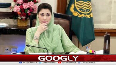 Fuel Rationing, Hybrid School System, and Holiday Recommendations Submitted to Punjab Government