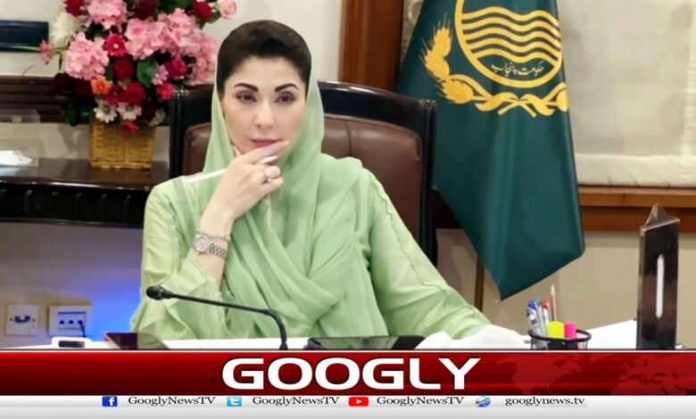 Fuel Rationing, Hybrid School System, and Holiday Recommendations Submitted to Punjab Government