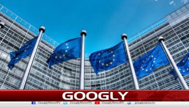 یورپی یونین کا خلیج فارس میں اپنے جہاز نہ بھیجنے کا فیصلہ 5 European Union Decides Against Sending Ships to the Gulf