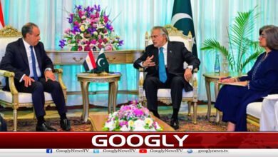 مشرق وسطیٰ کشیدگی: پاکستان اور مصر کے وزرائے خارجہ کی اسلام آباد میں اہم ملاقات 2 Middle East Tensions: Pakistan, Egypt Foreign Ministers Hold Key Meeting in Islamabad