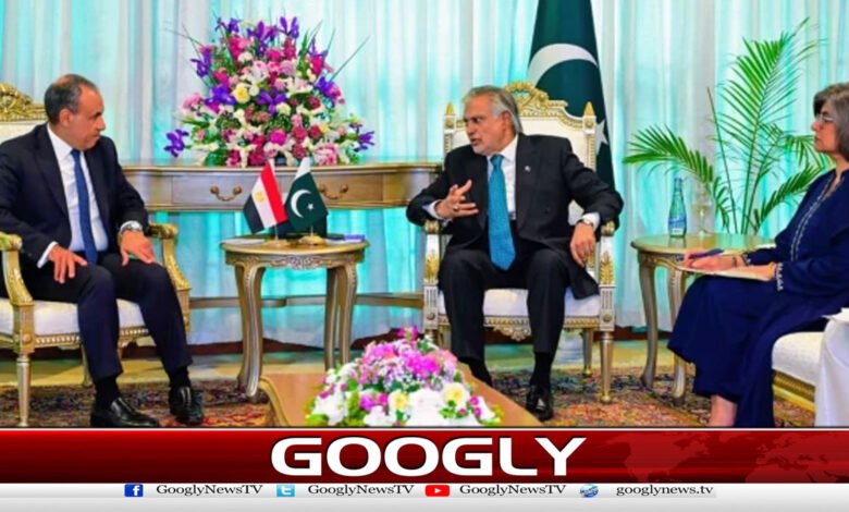 Middle East Tensions: Pakistan, Egypt Foreign Ministers Hold Key Meeting in Islamabad