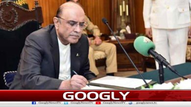 President Asif Ali Zardari Approves Key Amendments Including Pakistan Citizenship Bill