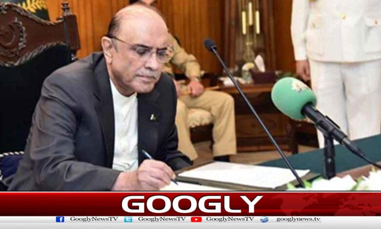 President Asif Ali Zardari Approves Key Amendments Including Pakistan Citizenship Bill