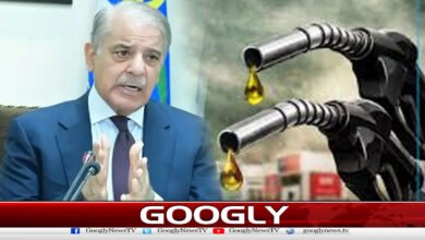 Letter Sent to Prime Minister Over Fears of Petroleum Shortage