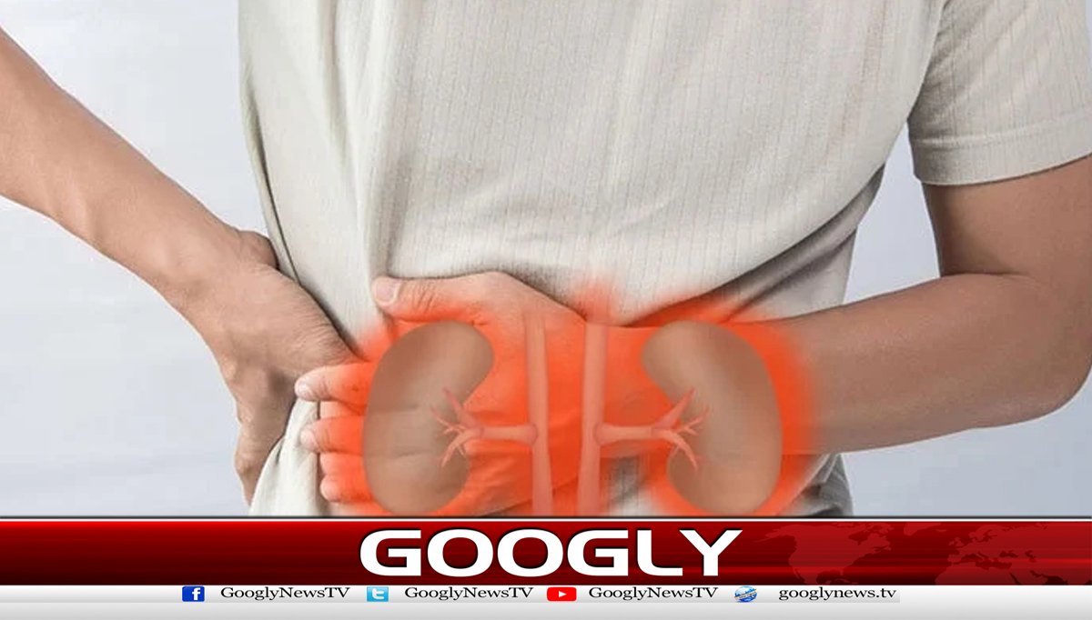 روزانہ 2سے3لیٹرپانی پیناگردوں کی صحت کیلئےمفید قرار