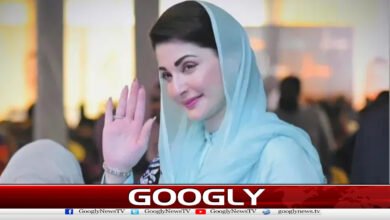 Austerity policy implemented in Punjab, approval to close educational institutions for 20 days