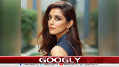 Will increasing the price of petrol increase supply? Maya Ali