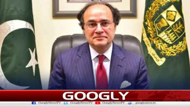 Pakistan has abundant reserves of petroleum products, says Finance Minister