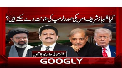 کیا شہباز شریف امریکی صدر ٹرمپ کی ضمانت دے سکتے ہیں؟ 5 Shehbaz Sharif Cannot Grant Bail to Former US President Trump, Legal Experts Say