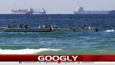 Two Pakistani ships stuck in the Strait of Hormuz, Maritime Minister contacts Foreign Ministry