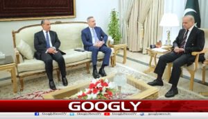 وزیر اعظم سے ترکیہ اور مصر کے وزرائےخارجہ کی ملاقات