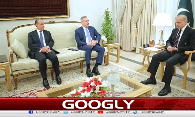 Turkish and Egyptian Foreign Ministers Meet with Prime Minister