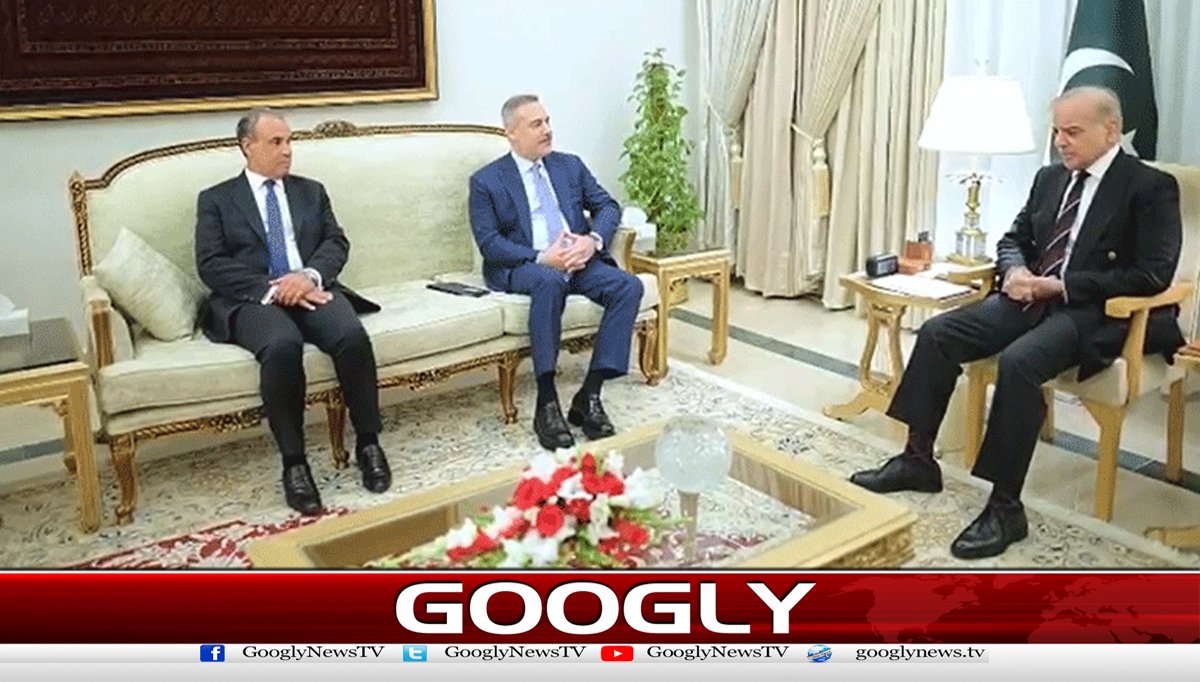 وزیر اعظم سے ترکیہ اور مصر کے وزرائےخارجہ کی ملاقات