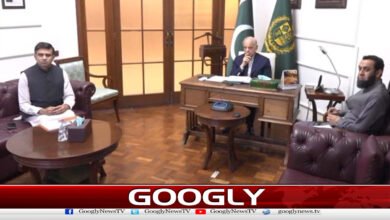 Austerity investment to be used for public relief, says PM