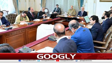 Energy crisis: Prime Minister orders Petroleum Minister to closely monitor