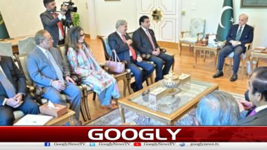 PPP delegation meets PM, apprised of reservations