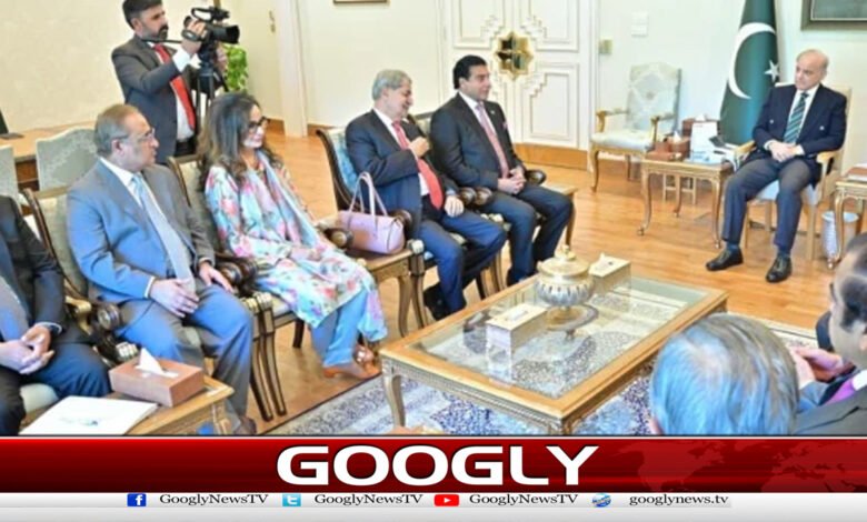 PPP delegation meets PM, apprised of reservations