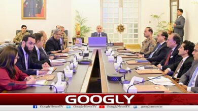 Government appeals to the public to adopt petrol and diesel saving