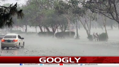 17سے25مارچ تک بادل جم کربرسیں گے،این ڈی ایم اے کاالرٹ جاری 5 Clouds will freeze and rain will fall from March 17 to 25, NDMA issues alert