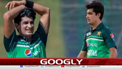 Naseem Shah fined Rs 20 million for controversial tweet