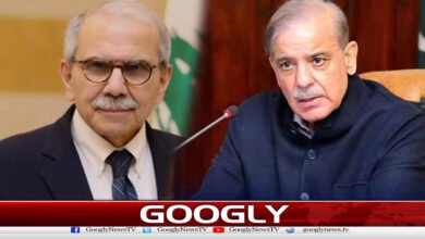 شہباز شریف کا لبنانی وزیراعظم کو ٹیلیفون، اسرائیلی جارحیت کی مذمت 2 Shahbaz Sharif telephones Lebanese Prime Minister, condemns Israeli aggression