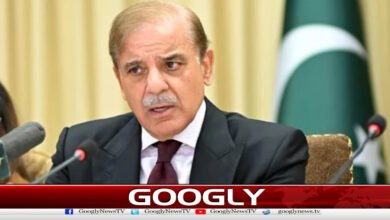 خلیجی ممالک کواشیاء خور و نوش برآمد کی جائیں،وزیراعظم 2 Food and beverage products should be exported to Gulf countries, says Prime Minister