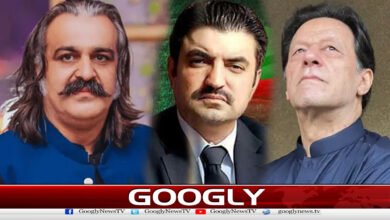 All doors of Imran Khan have been closed by the removal of Ali Amin Gandapur, says Sher Afzal