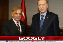 Prime Minister and Turkish President hold telephone conversation, discuss mutual issues