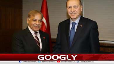 Prime Minister and Turkish President hold telephone conversation, discuss mutual issues