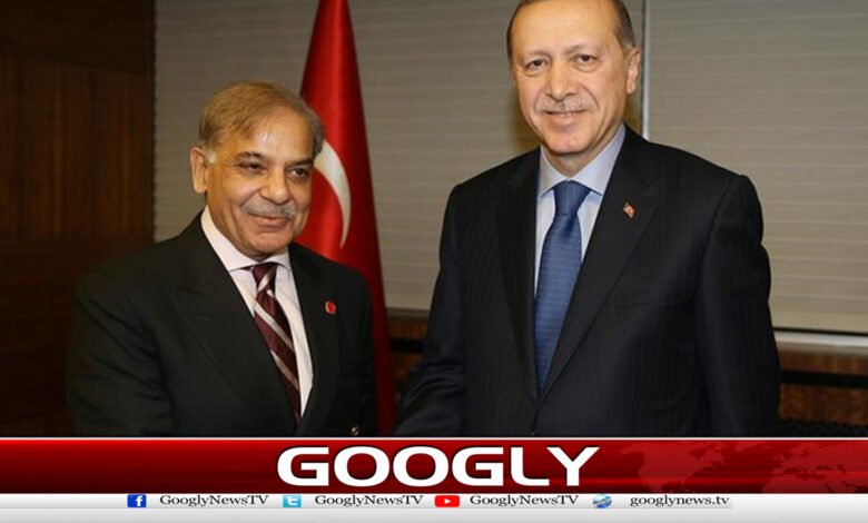 Prime Minister and Turkish President hold telephone conversation, discuss mutual issues