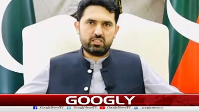 Khyber Pakhtunkhwa Chief Minister Sohail Afridi decides to expand the cabinet